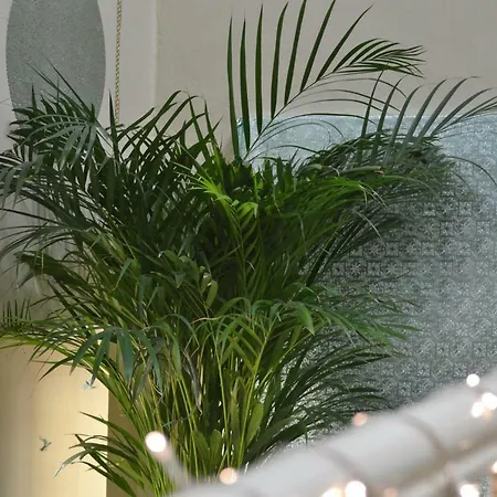 Apartment Aloes